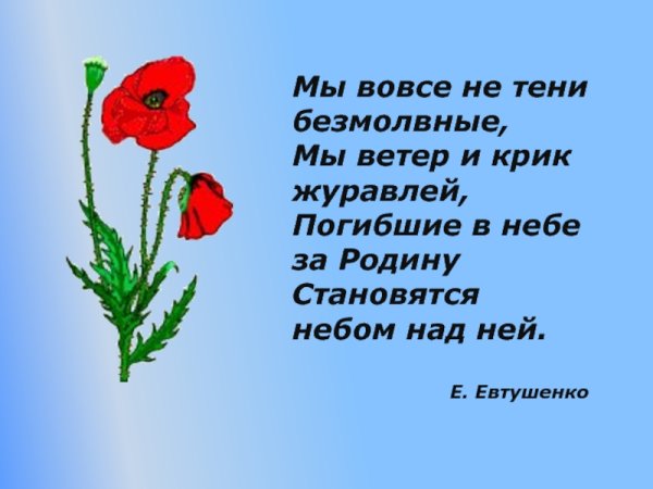 Погибшие в небе за родину становятся небом над ней