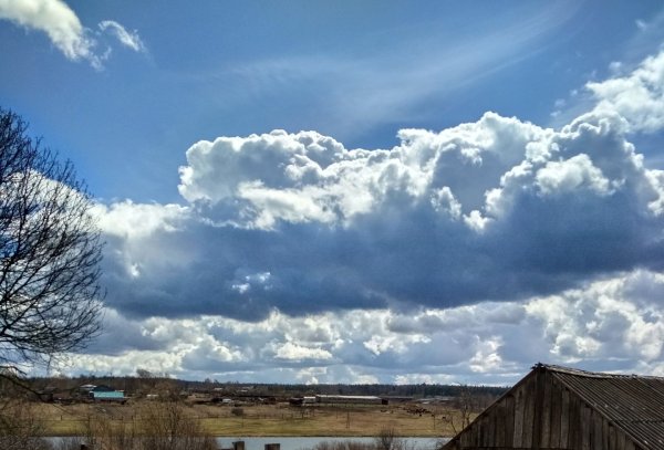Журавли Великая Отечественная война