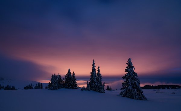 Зимнее небо