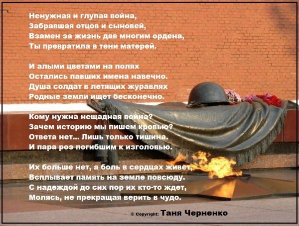 Солдаты Журавли