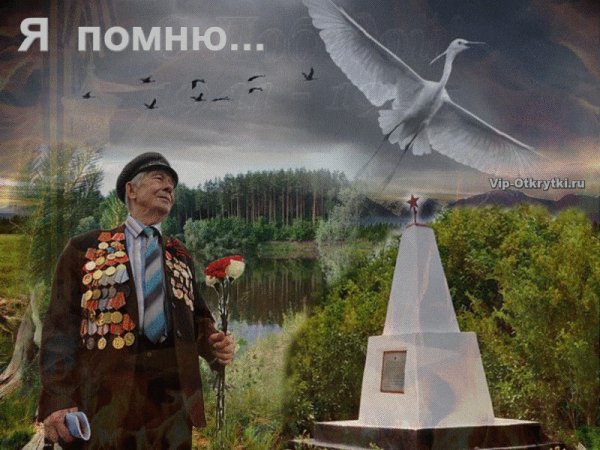 Солдат защищает родину