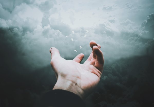 Внутренняя Свобода Эстетика