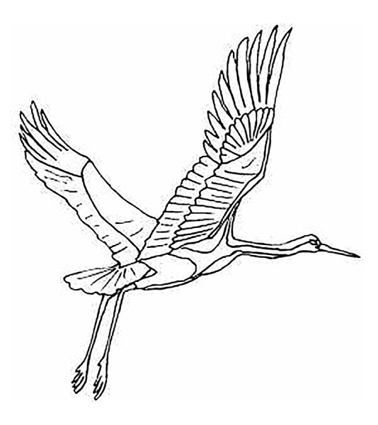 Журавль раскраска для детей