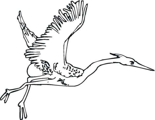 Журавль раскраска