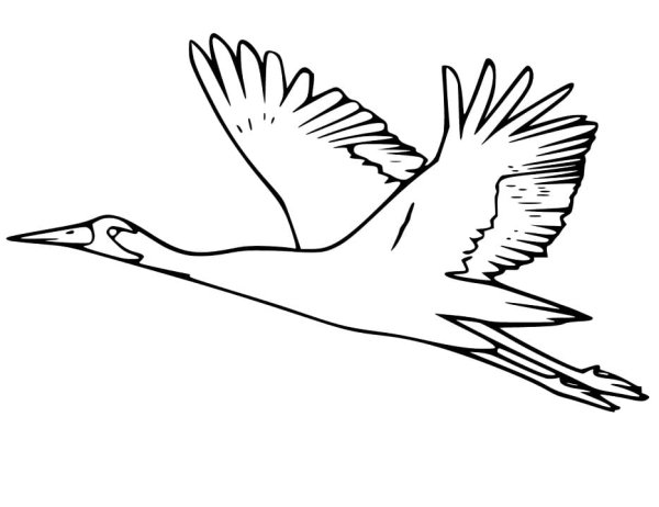 Журавлик раскраска