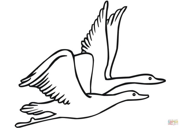 Журавли трафареты для вырезания