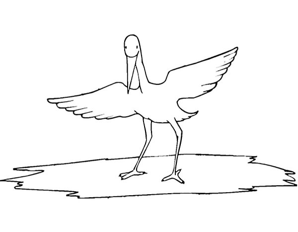 Аист раскраска