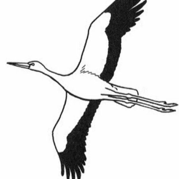 Птицы улетают раскраска