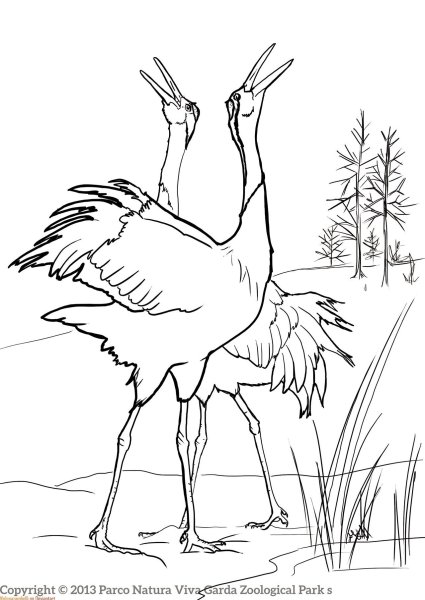 Раскраска птицы улетают на Юг