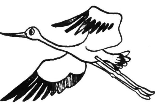 Цапля контурный рисунок