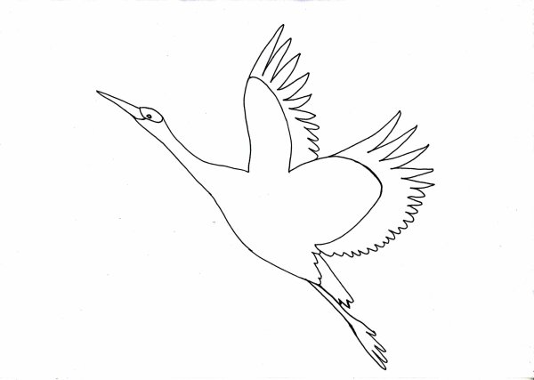 Перелетные птицы раскраска для детей