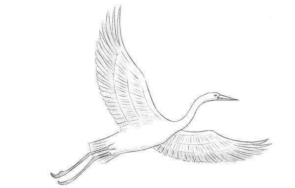 Птицы улетают раскраска