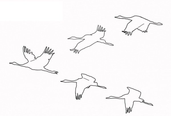 Птицы улетают раскраска