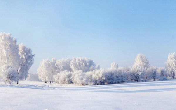 Морозное небо