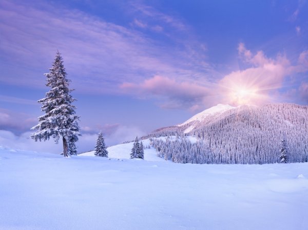 Зимняя природа