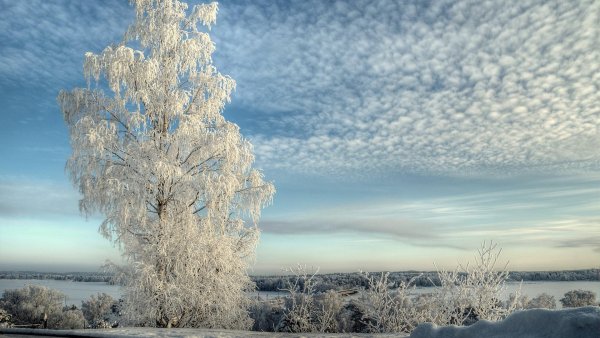 Зимний пейзаж тучи