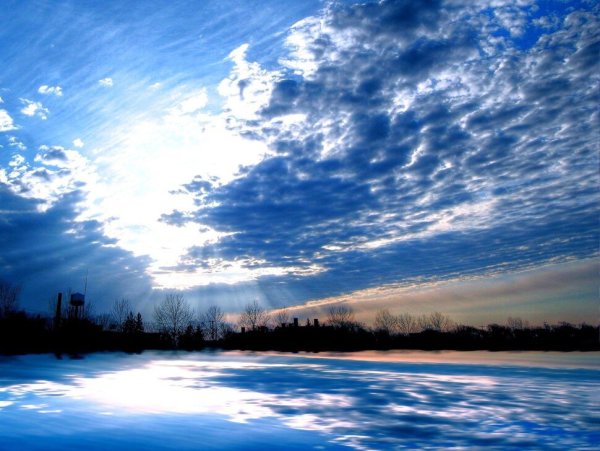 Снежный лес голубое небо