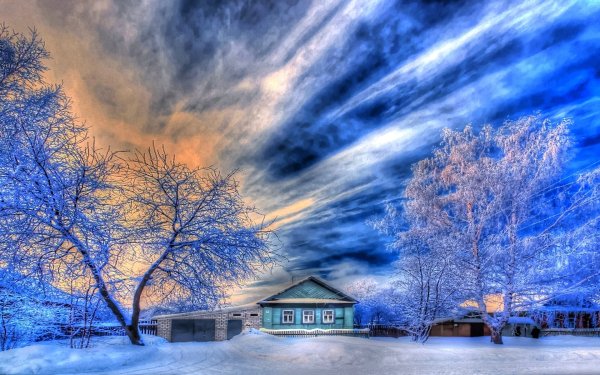 Деревья в инее на фоне голубого неба