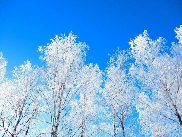 Снегопад фон