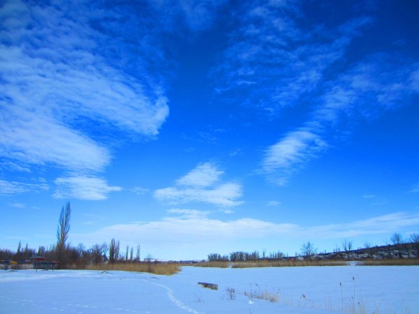Зимний пейзаж в синих тонах