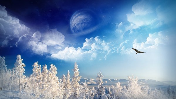 Зимняя природа