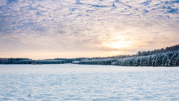 Зима солнце голубое небо