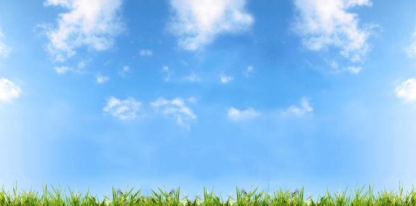 Фон трава и небо