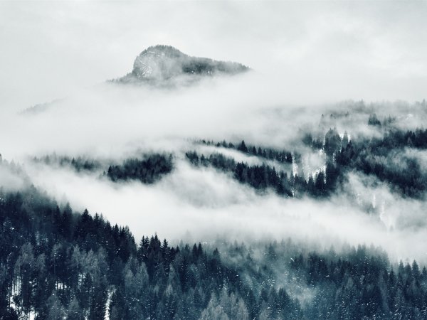 Горы в тумане