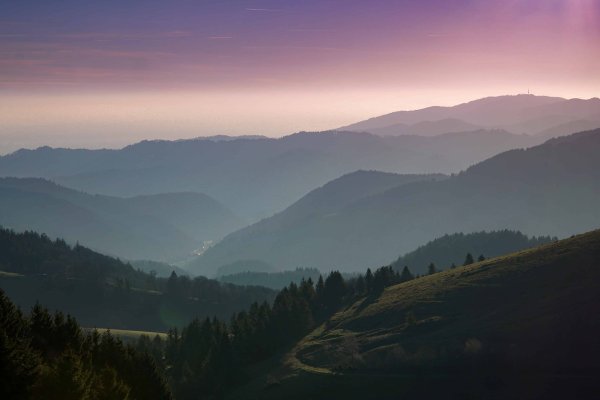 Горный пейзаж в тумане