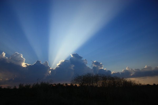 Антисумеречные лучи