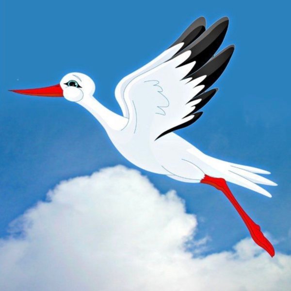 Журавль на белом фоне