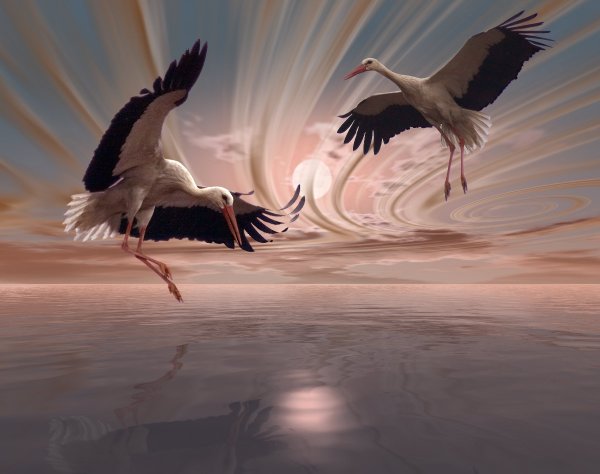 Журавль в небе