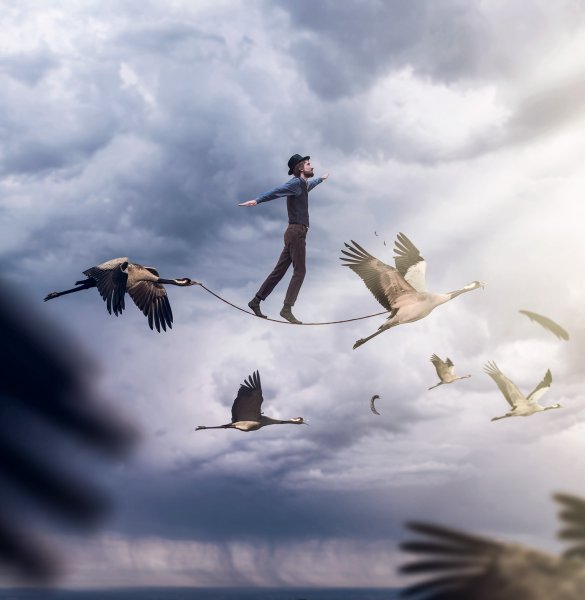 Нарисовать журавля