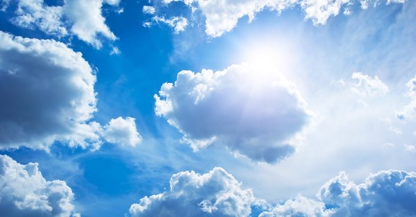 Новорожденный ребенок