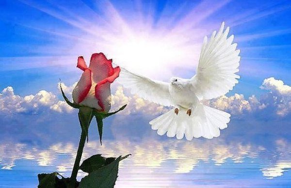 Мирное небо