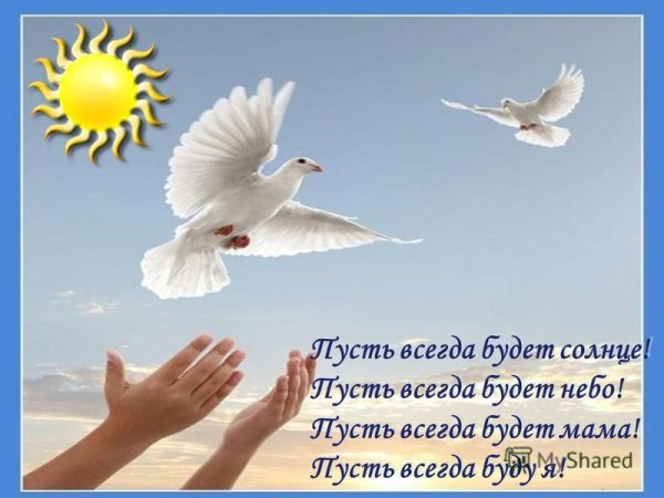 Цветы и мирное небо