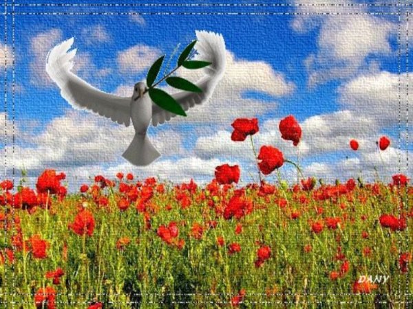 С днем Победы поздравления мирного неба