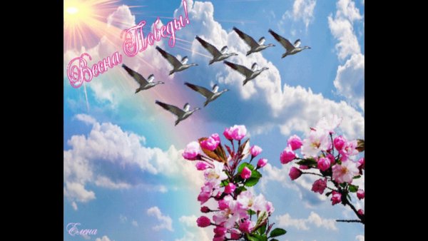 Пожелания мира и добра на земле