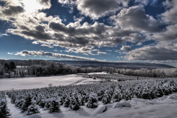 Серое зимнее небо
