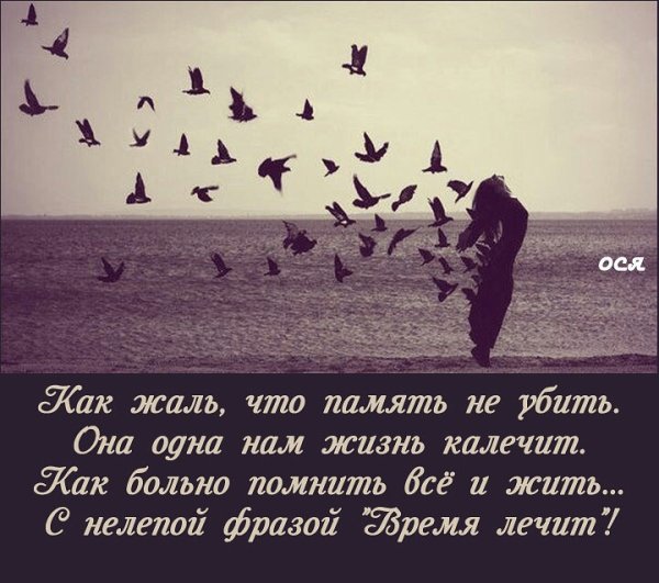 Встреча на небесах