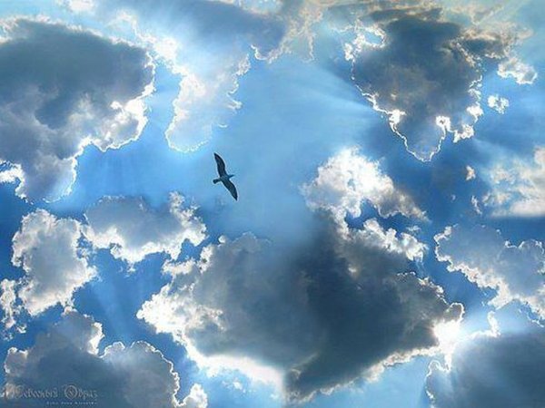 Душа в небе