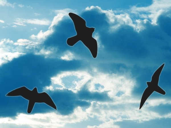 Птицы в небе рисунок