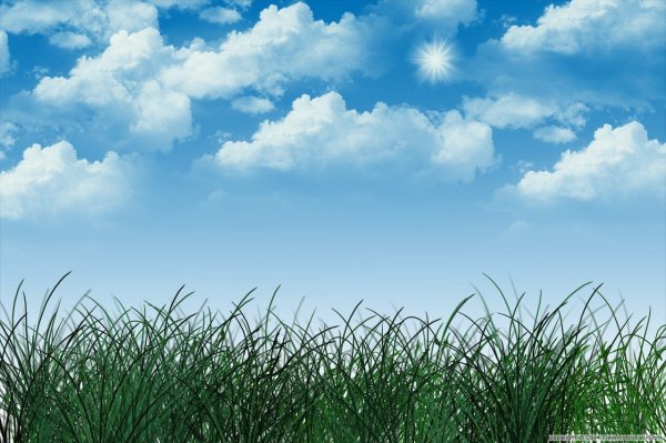 Голубое небо и трава