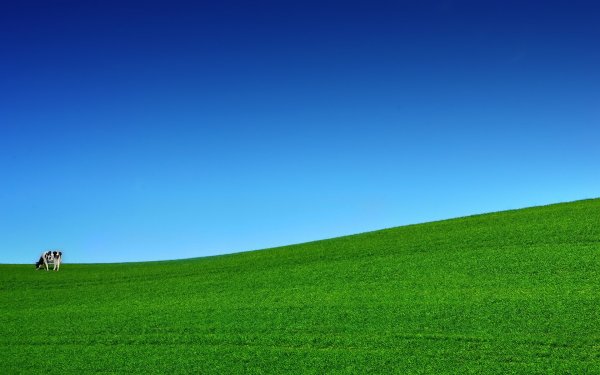 Трава и небо