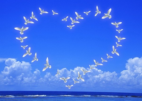 Доброе утро счастливого полета