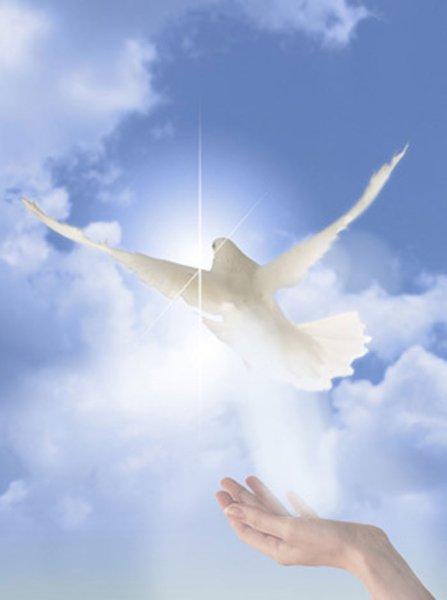 Городюк Татьяна Москва