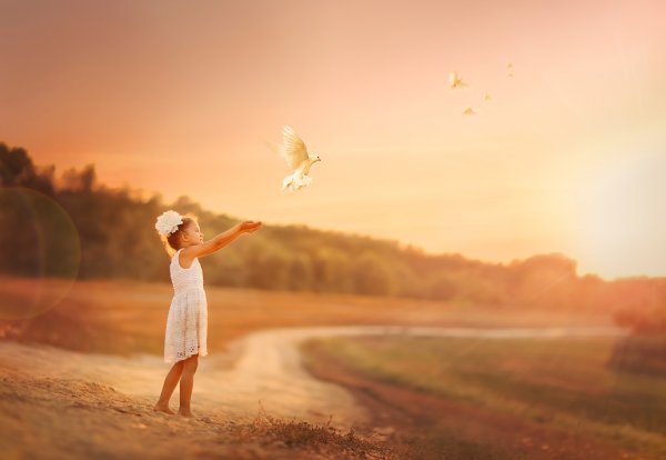 Выпускают голубей в небо