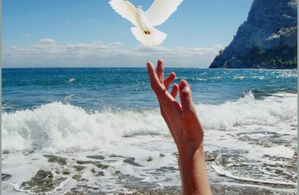 Птица на руке