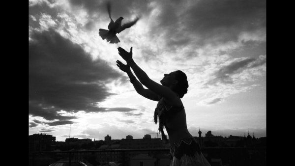 Отпустить птицу