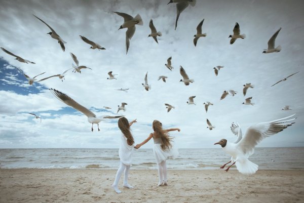 Руки выпускают птицу